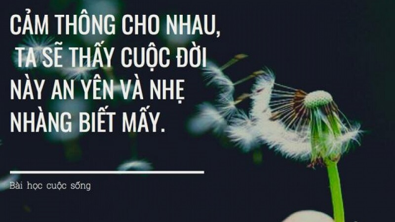 Top những bài học cuộc sống hay và ý nghĩa - 2